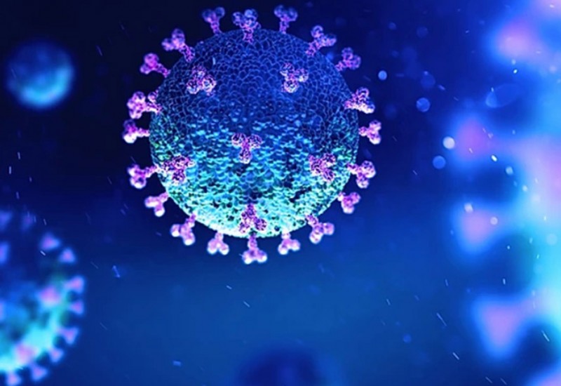 Coronavirus