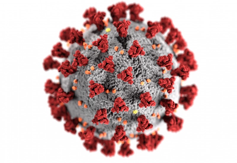 Coronavirus. Image credit CDC, Unsplash.
